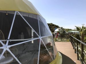 IMG_3009-2